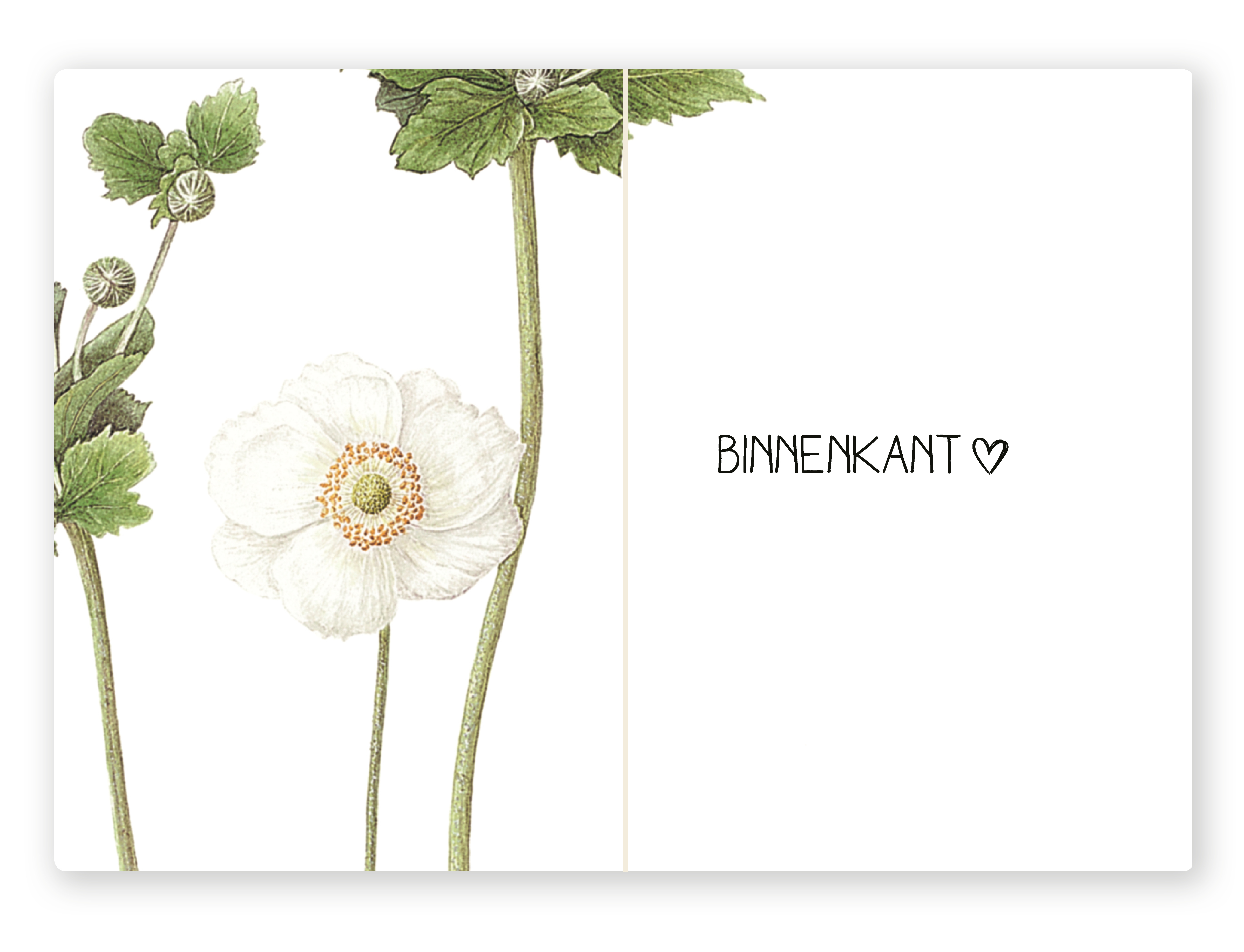 Botanische kaart 12