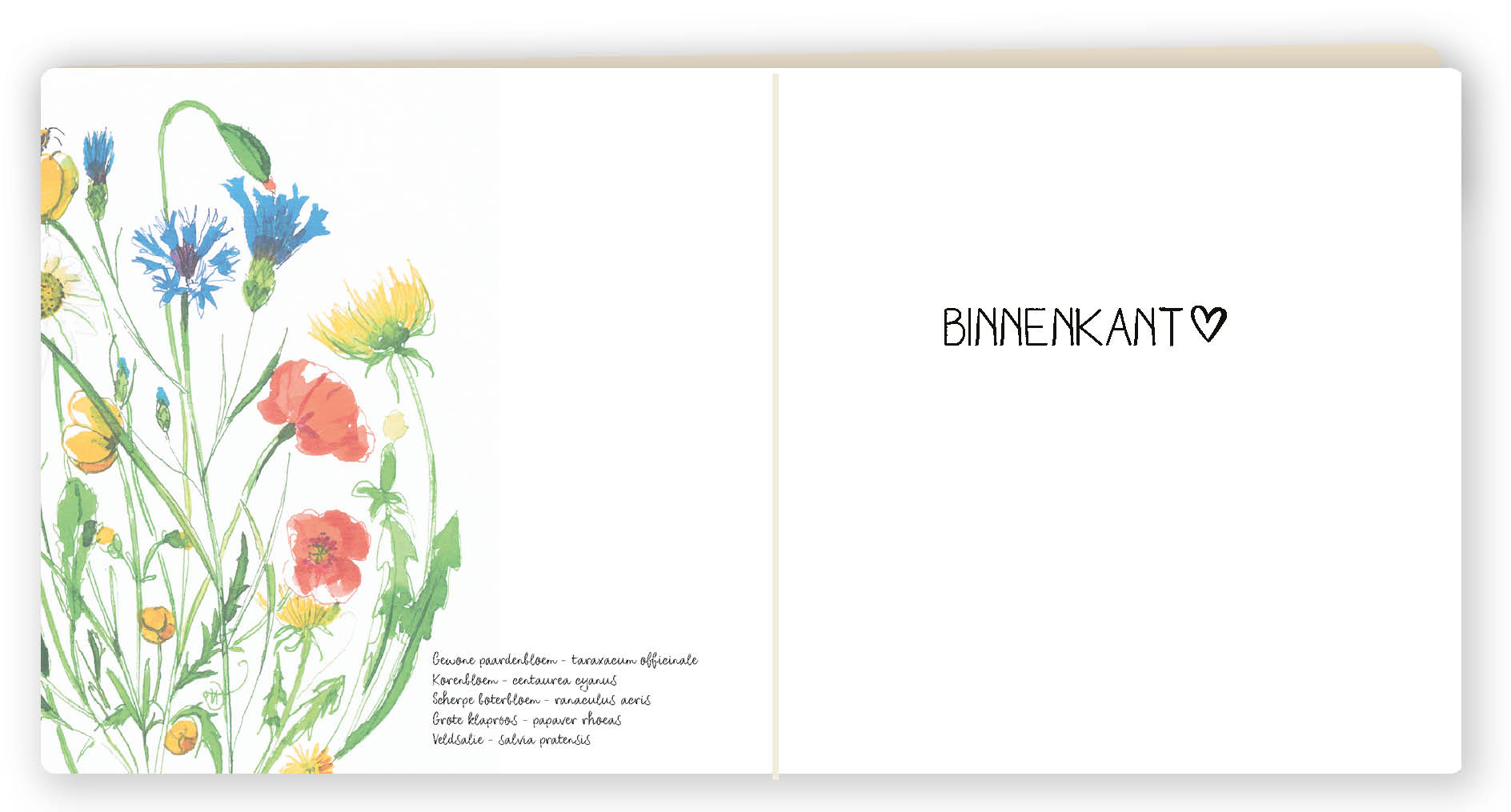 Botanische wenskaart 41